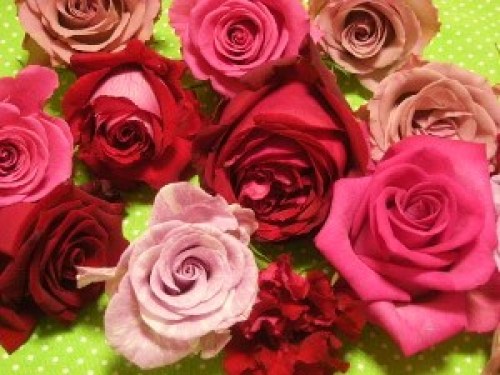 DSCN6731 (300x225).jpg