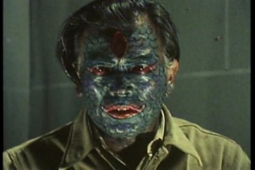 PDVD_011.jpg