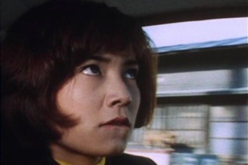 PDVD_017.jpg
