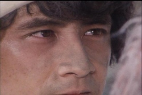 PDVD_055.jpg