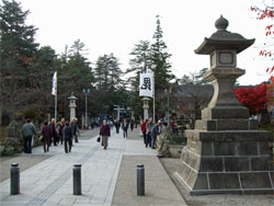 上杉9.jpg