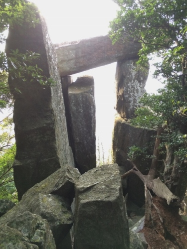 IMG_5270 (480x640).jpg