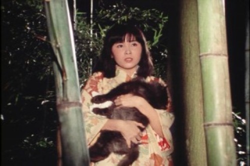 PDVD_011.jpg