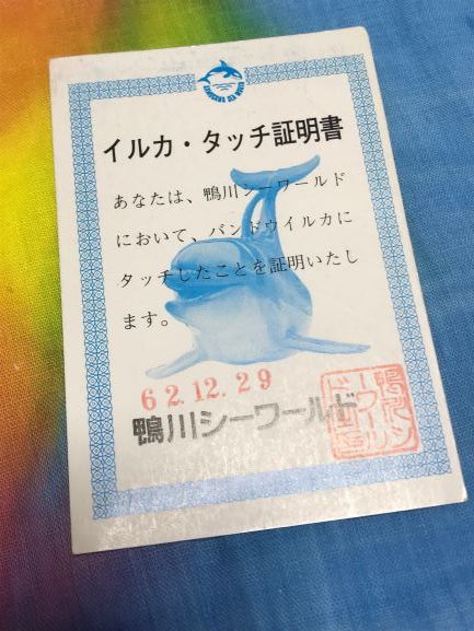 南知多ビーチランド その２ 鯖 穴子寿司 舞奈さざえのマイナー日記 温泉と知多半島ランチ 楽天ブログ