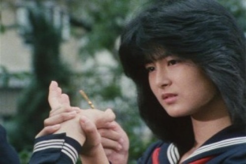 PDVD_009.jpg