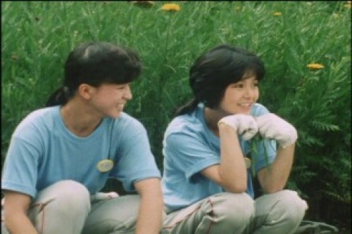PDVD_000.jpg