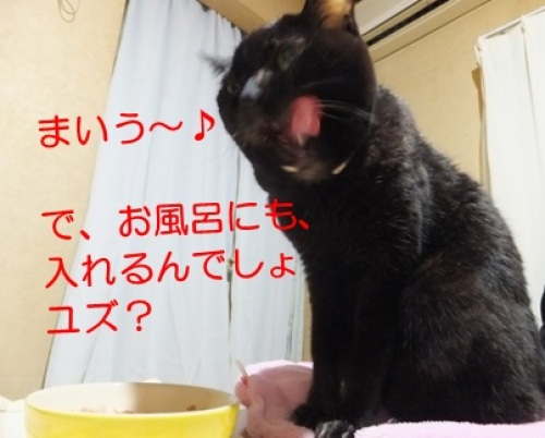 20121222_5.jpg