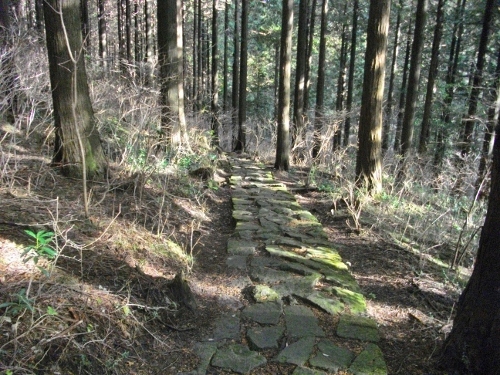 箱根外輪山湖尻水門 (2) (500x375).jpg