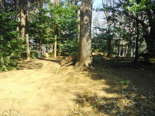 滝の城本丸四脚門 (2) (500x375).jpg