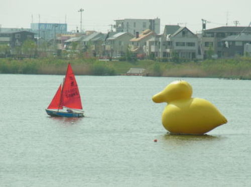 20120429レイクタウン アヒルちゃん.jpg