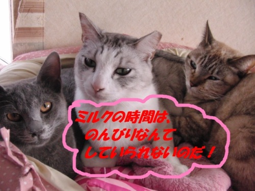 CIMG2287.JPG