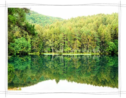 御射鹿池（みしゃかいけ）長野　茅野市　東山魁夷　緑響く　AQUOS　CM