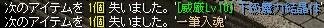 アイテムが完全に破壊されました。