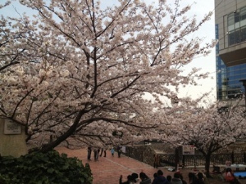 2013-03-30 16.26.56.jpg