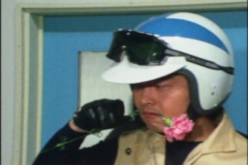 PDVD_034.jpg