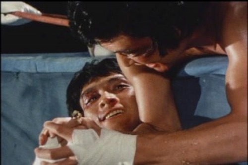 PDVD_023.jpg
