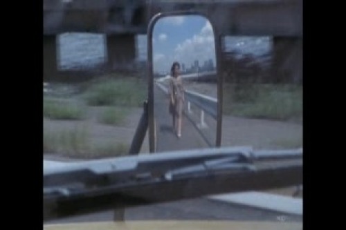 PDVD_042.jpg