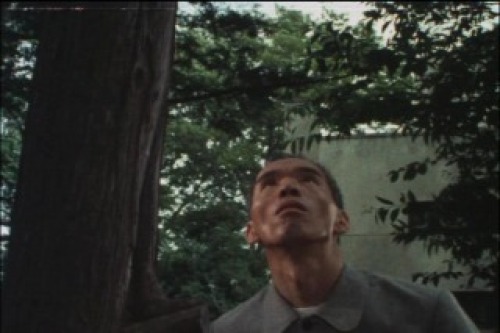PDVD_003.jpg