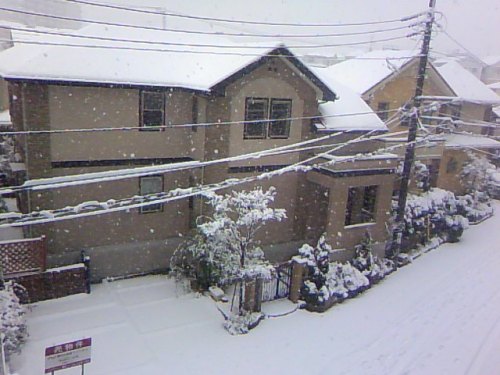 20130114雪景色.jpg