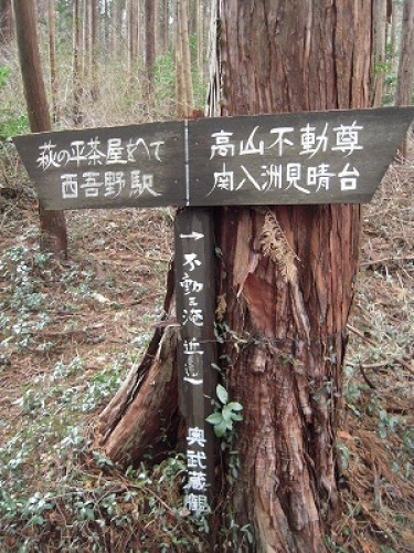 DSCN9900.jpg