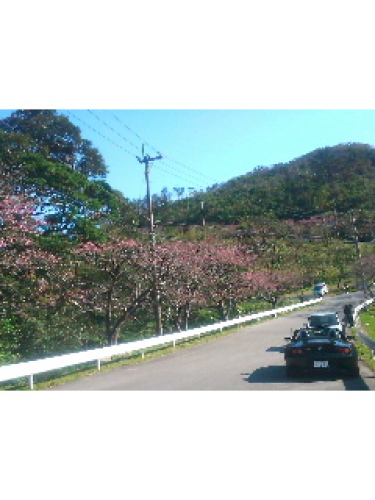 SN3N07540001.jpg