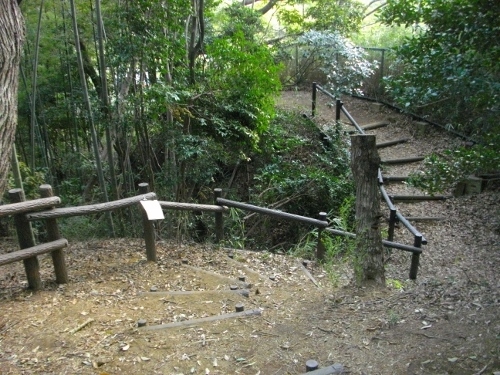 小机城富士仙元堀切 (500x375).jpg