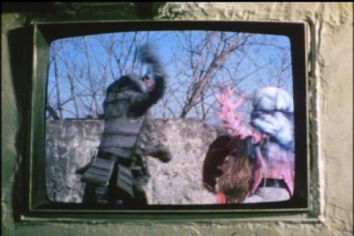PDVD_042.jpg