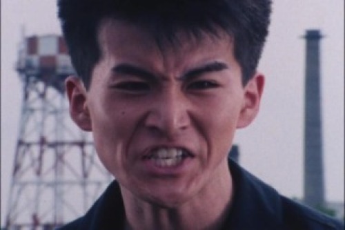 PDVD_031.jpg
