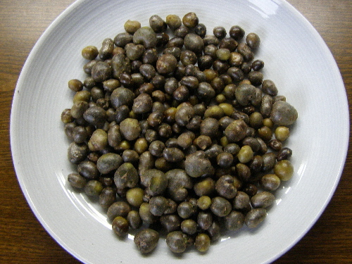 P9150270t.jpg