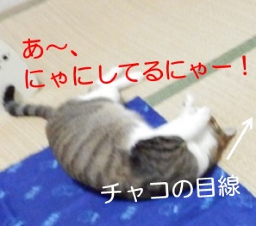 20130822_5.jpg
