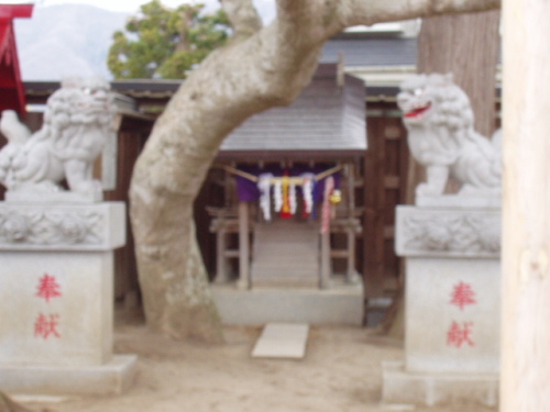 亀麿神社　祠.JPG