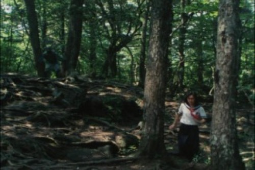 PDVD_038.jpg