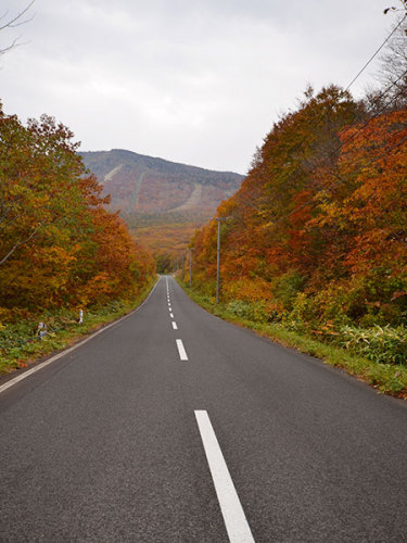 田山道路1.jpg