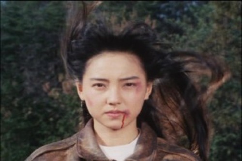 PDVD_246.jpg