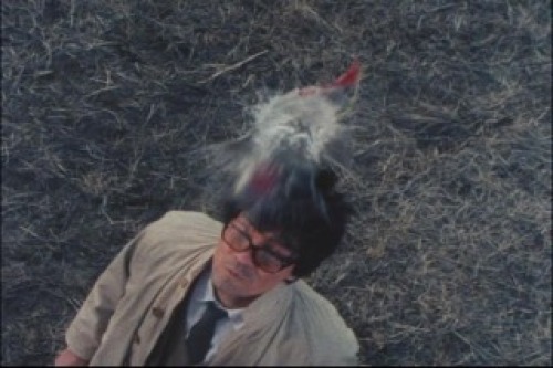 PDVD_020.jpg