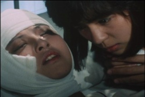 PDVD_071.jpg