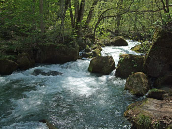 十和田湖19.jpg