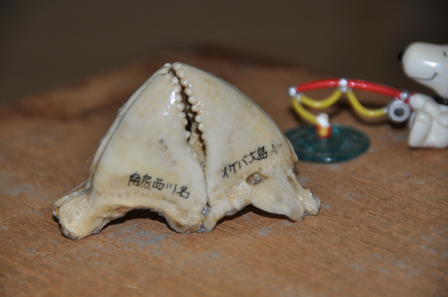 2015.12.14 歯型-04.JPG