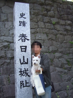 20100503春日山城.jpg