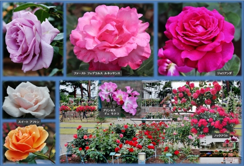 図3 (1920x1304).jpg