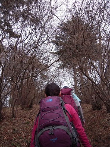 DSCN9914.jpg