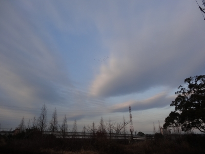 DSC00026.jpg