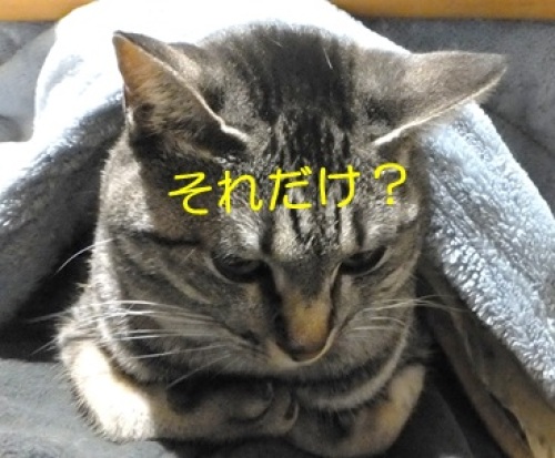 20121226_6.jpg