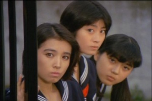 PDVD_379.jpg