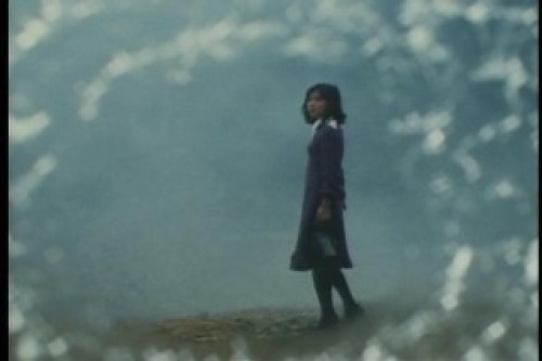 PDVD_006.jpg