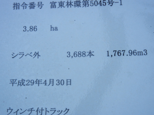 160611伐採本数9644.jpg
