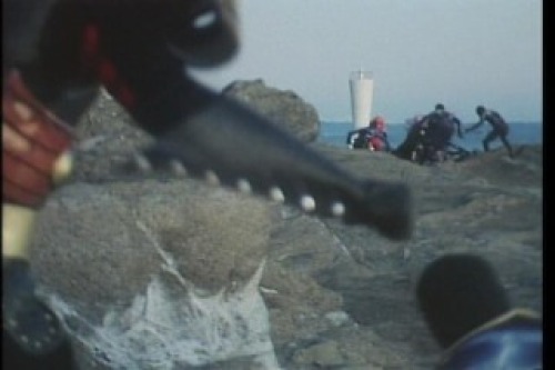 PDVD_019.jpg
