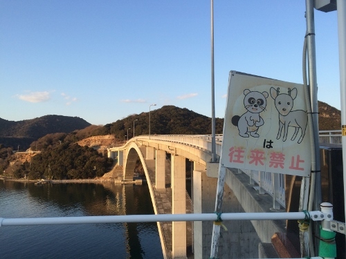 280117_9 (500x375).jpg