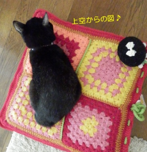 20150515_2.jpg