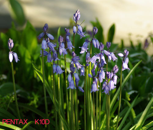 B-4比較 - コピー.jpg